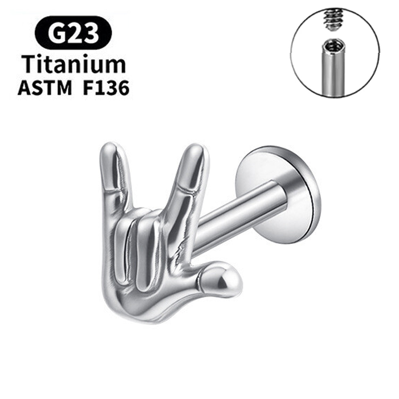 Titanium Stud Earrings Interna - Body Jewelry Jewelry Box review and price