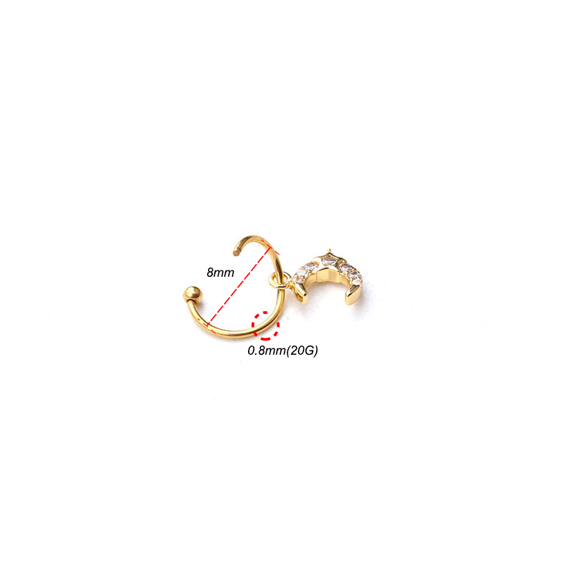 1Pc Universal ring Hoop earrin - Body Jewelry Universe review and price